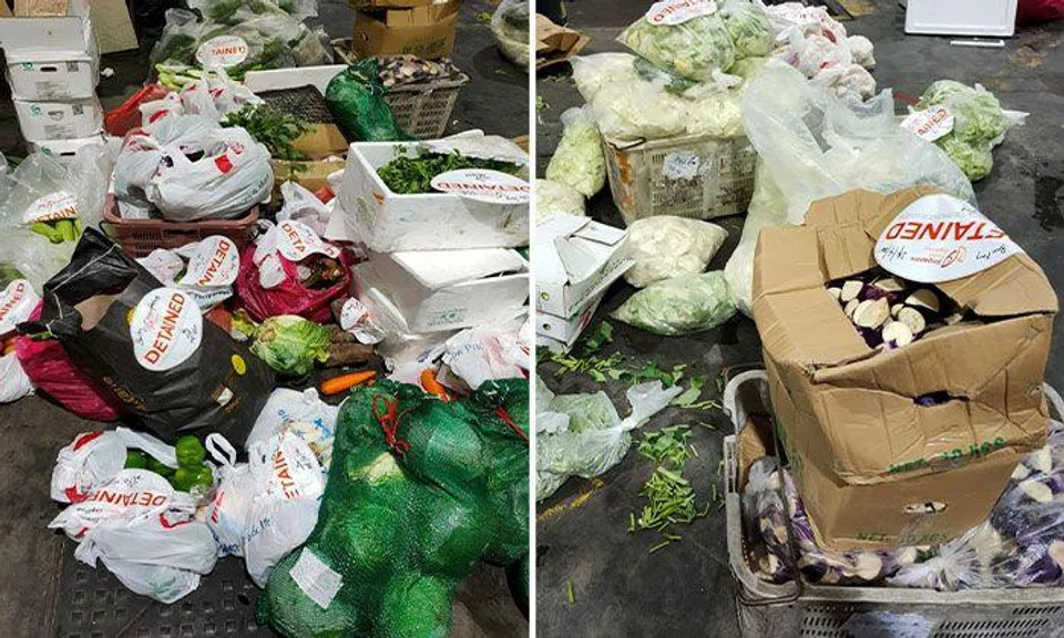 Sunrise Vegetable had illegally imported processed vegetables while Bao Kang Enterprise imported about 407kg of fresh vegetables. PHOTOS: SFA