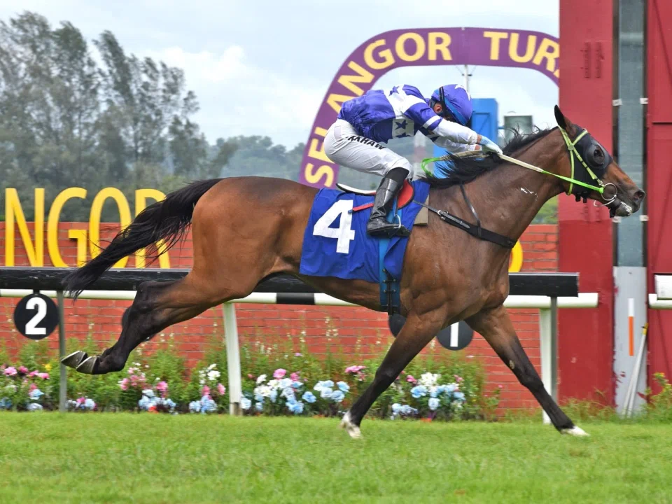 Te Akau Ben (Khaw Choon Kit) romping home in the Metro A race (1,600m) at Sungai Besi on March 1.

