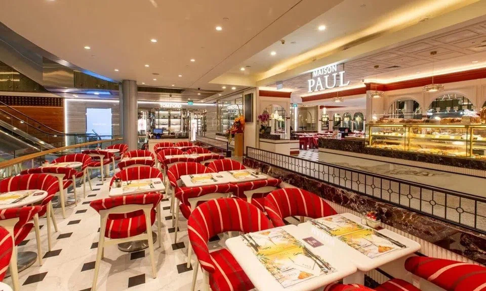 Paul Singapore had accumulated 12 demerit points within a 12-month period for failing to keep the licensed premises free of cockroach infestation.