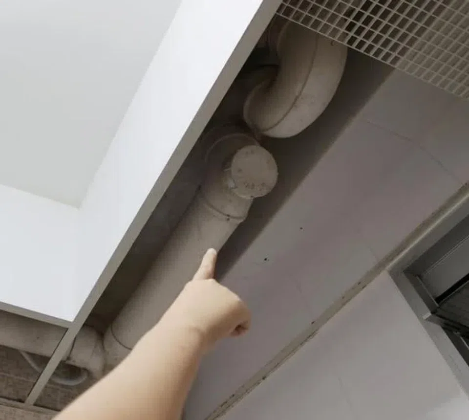 Ms Fan claimed that sewage kept dripping from around the water pipes, making her toilet smelly.