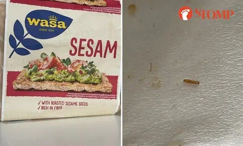 Live 'worm' crawls among crumbs after woman eats Wasa sesame crackers: 'I almost puked'