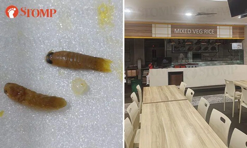 SFA takes enforcement action against mixed rice stall after diner finds 'parasites' in meal