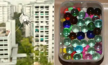 man arrested shooting birds marbles window