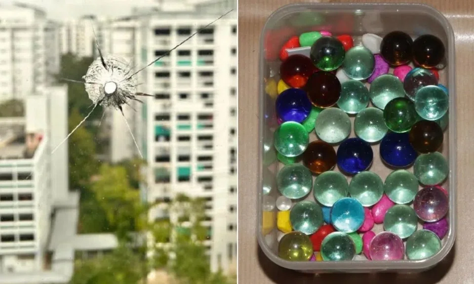 man arrested shooting birds marbles window