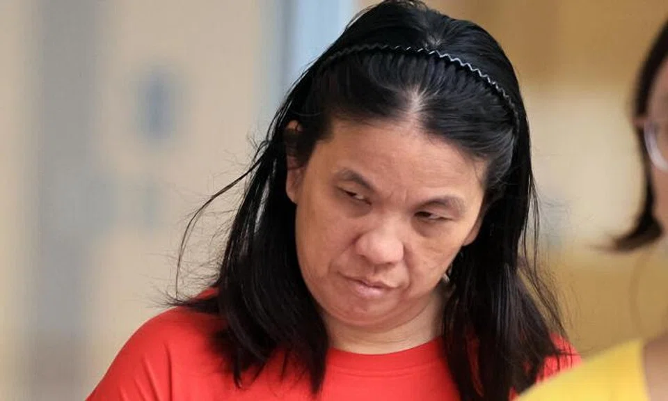 Woman fined in 2022 for harassing nurse back in court over mischief, using criminal force