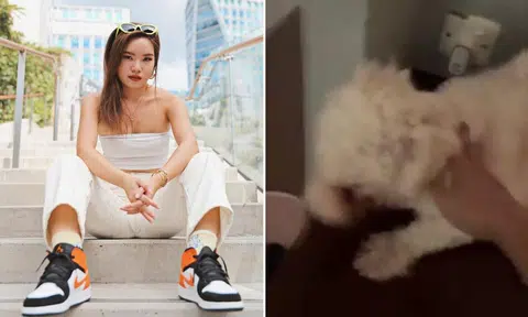 eunice ng mermaid.sg dog abuse