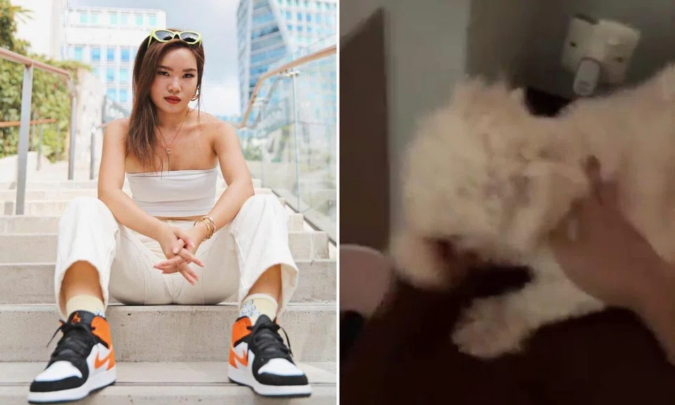 eunice ng mermaid.sg dog abuse