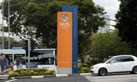 NUS student allegedly flashed woman and masturbated in front of her in university's science library