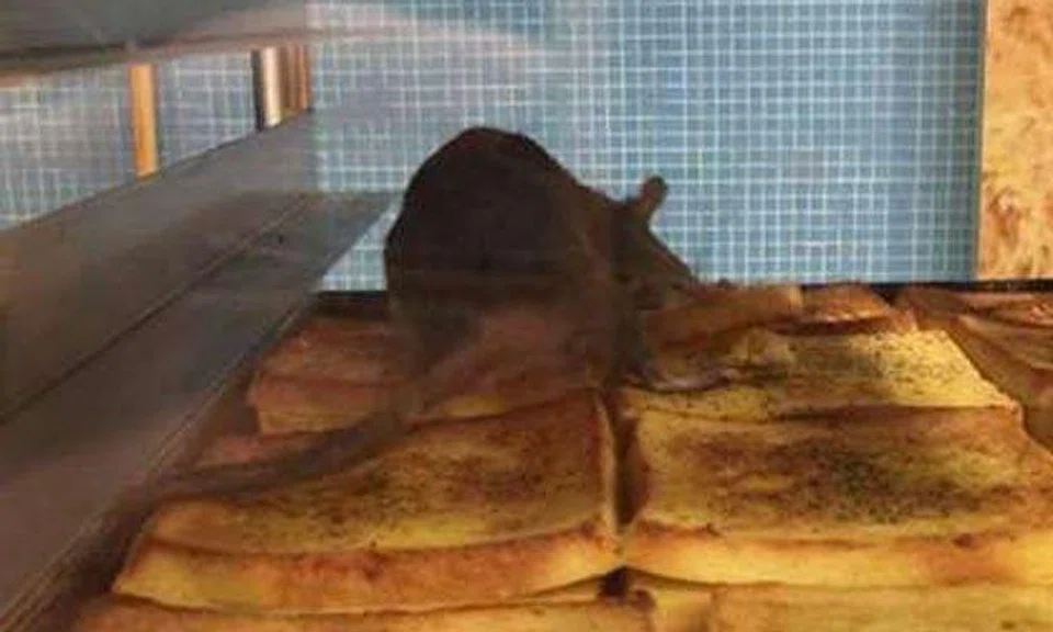 Malaysian bakery apologises after customer sees rat on tray of bread at ...