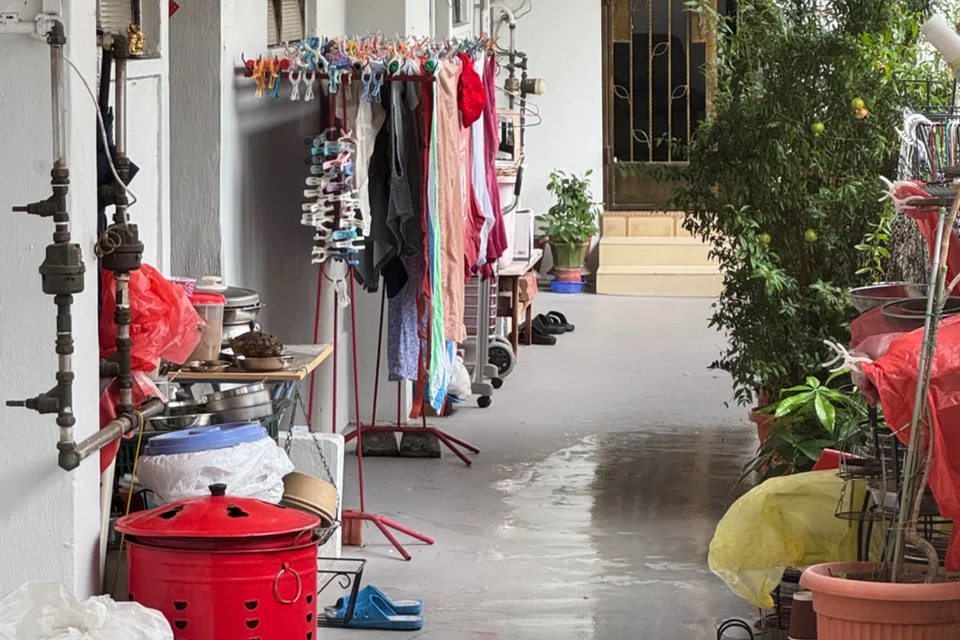 AMK woman wave underwear