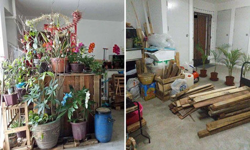 Canberra resident clutters corridor with potted plants and furniture