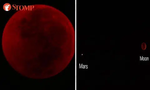 The "blood moon" (left) and the Mars opposition (right). PHOTO: STOMP TEAM