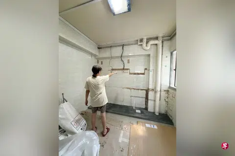 The Town Council called in a pest control team to inspect the electrical boxes and common spaces.