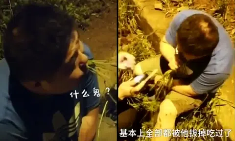 Drunk Chinese driver eats grass in attempt to pass breathalyser test