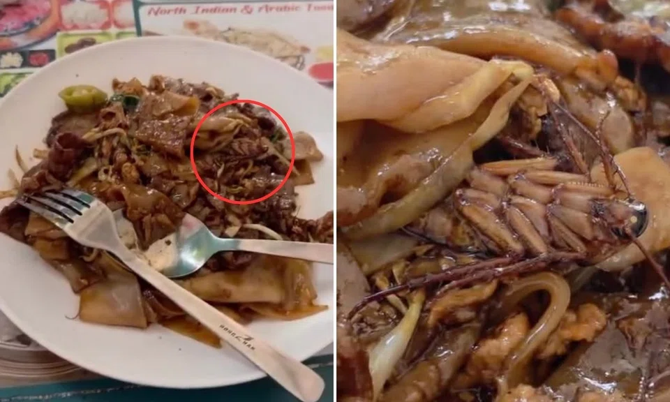 customer demands 5k after finding cockroach in meal