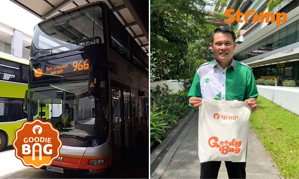 The bus driver was punched and assaulted by one of the passengers while driving on the expressway.