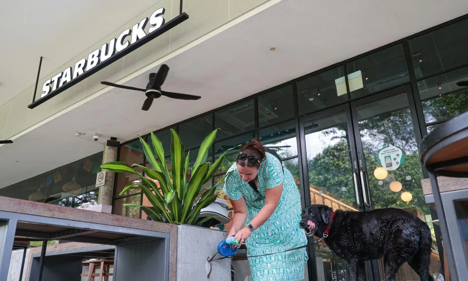 muis asks starbucks to remove signs regarding halal certification