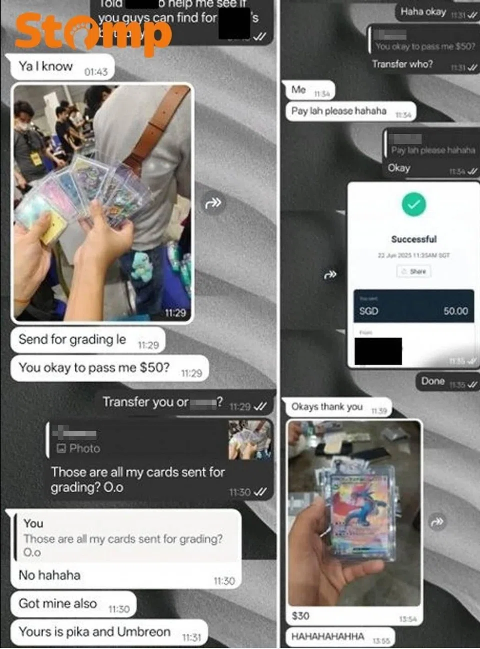 Pokemon cards, theft, family dispute