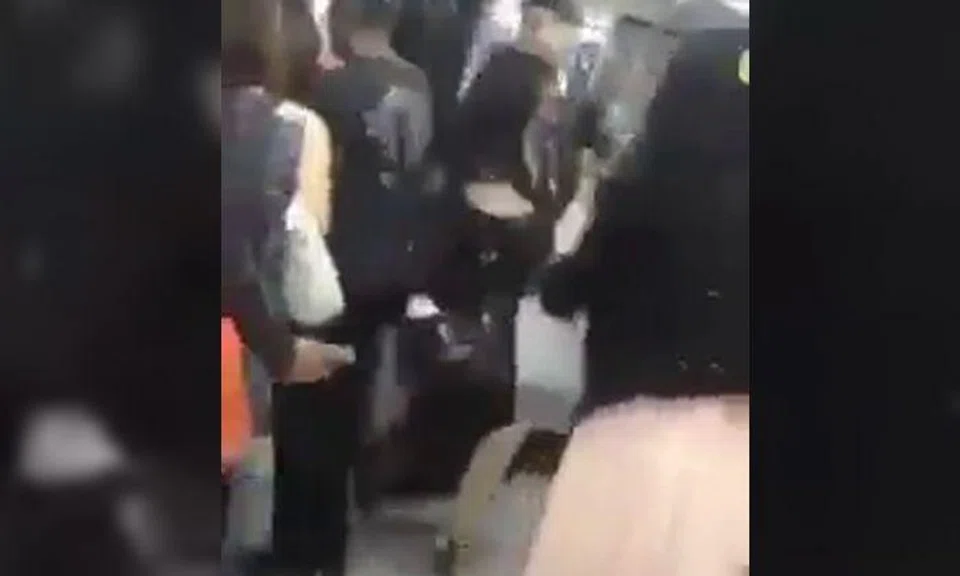 2 women fight and scream at each other until 1 gets pushed out of train