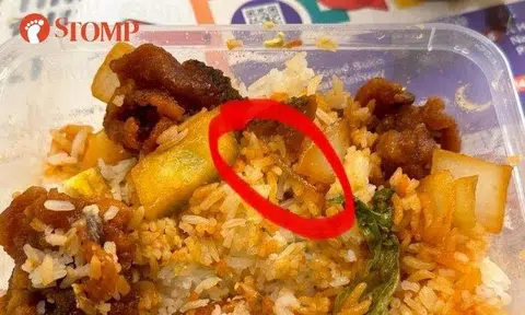 Stomper: "I took a closer look and to my horror, saw that it was actually a worm that looked like it had been deep-fried."