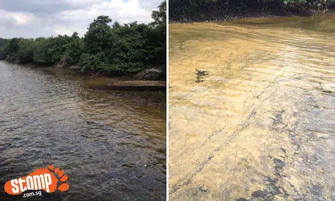 Where did this oil spill at Woodlands Jetty come from?