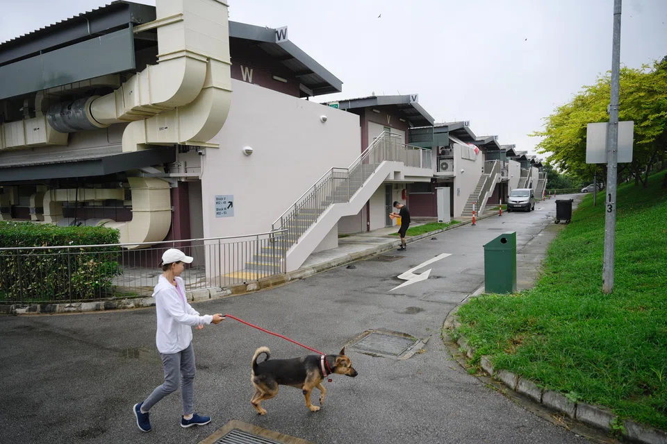 Shelter dogs are walked inside The Animal Lodge at Sungei Tengah on Jan 24, 2025.