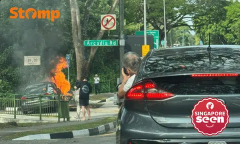Car skids in Adam Road, crashes into gas equipment and catches fire