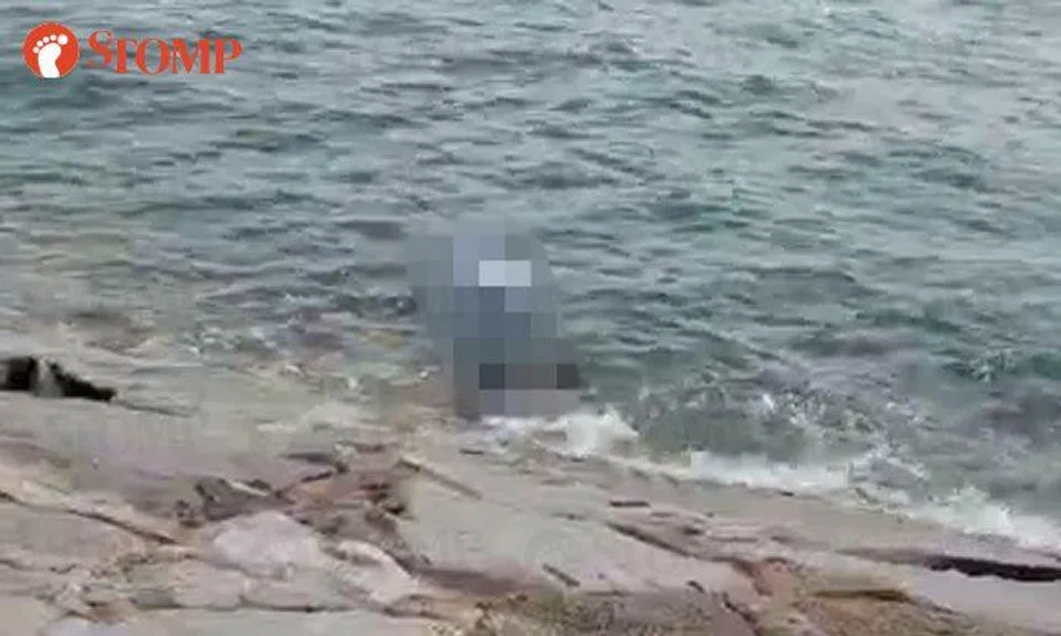 Body of 45-year-old man found floating at shoreline near Marina South Pier MRT station