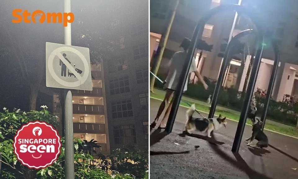 dogs at compassvale crescent playground