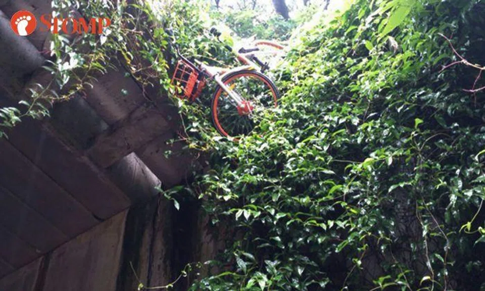 These shared bicycles are going to fall on passers-by at Lower Delta Road anytime