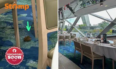 Rat interrupts CNY dinner at TungLok Seafood at Gardens by The Bay, SFA investigating