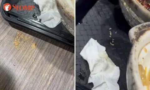 Woman finds herself dining with maggots at Senja Hawker Centre, stall given warning