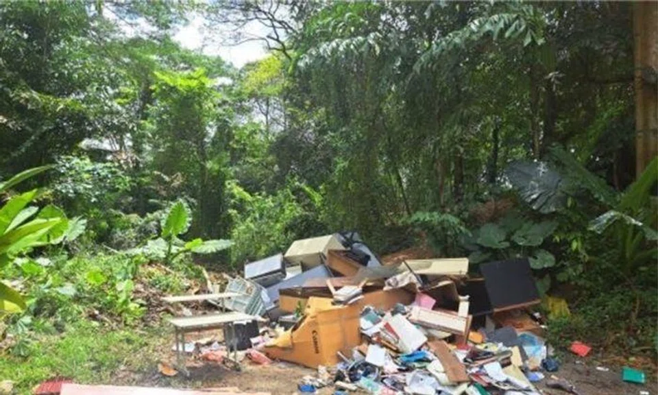 Siow Wei Wen discarded the items at a secluded spot in Kheam Hock Road, off Lornie Highway. Photo: National Environment Agency