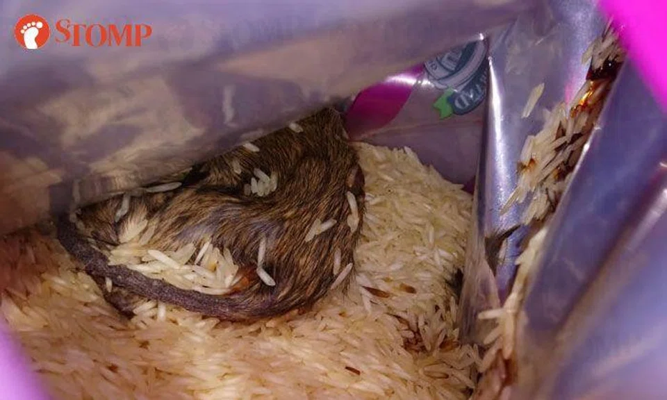 Sheng Siong removes House Brand basmati rice products from stores after man finds dead rat in pack
