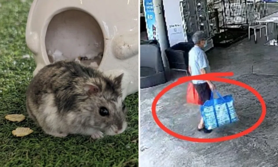 A man was caught on CCTV abandoning a hamster at the SPCA.