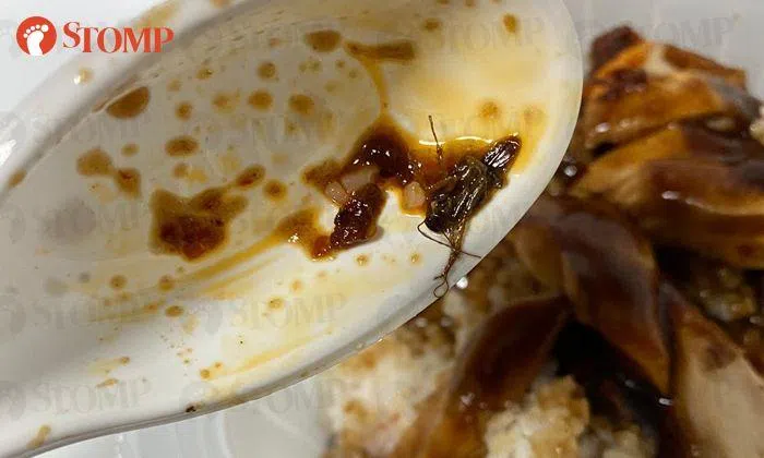 Owner and staff of Food Republic stall at Causeway Point warned over ...
