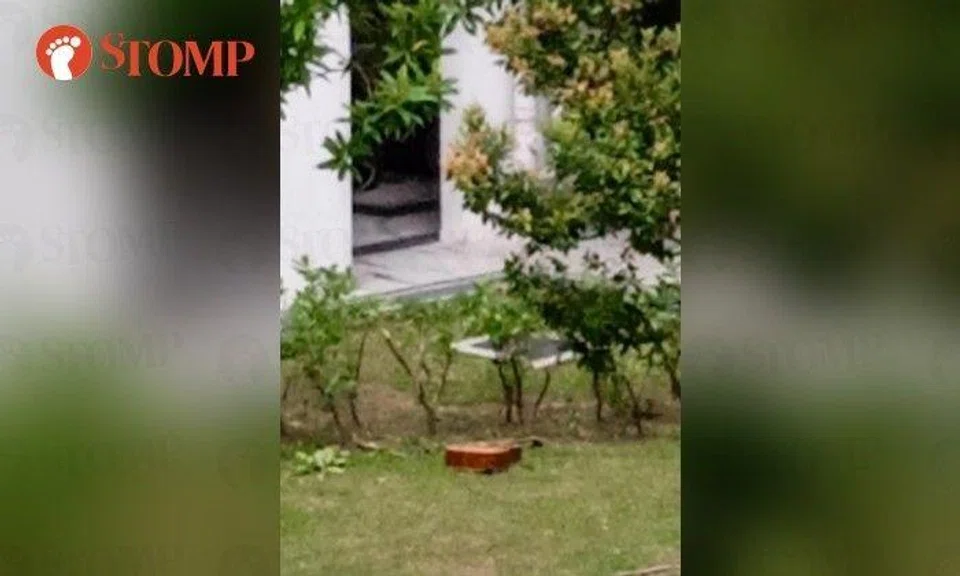 The Stomper shared a photo of the string instrument on the ground.