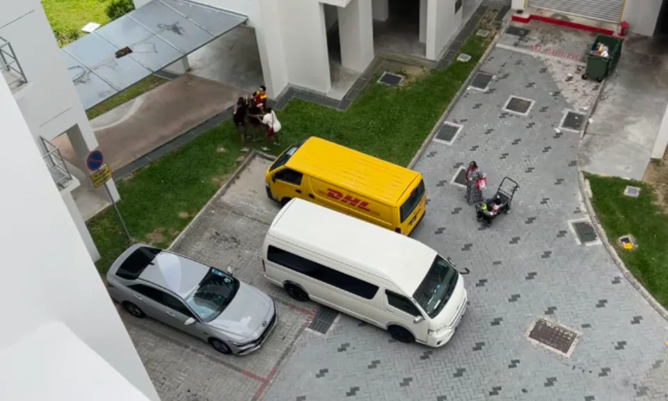 The DHL driver was seen in a fight with three individuals.