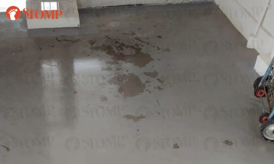 Tampines resident frustrated by 'filthy and sticky' common area caused by spitting