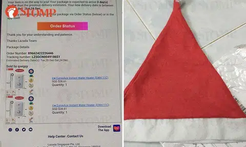 Lazada issues refund and removes seller after customer receives Santa hat instead of water heaters