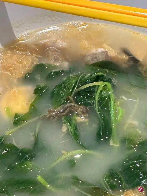 Stall employee claims dead gecko in customer's soup is 'anchovies'