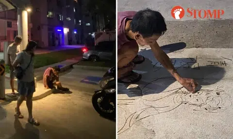 80-year-old retiree creates art with twigs on ground at Owen Road carpark: 'Good job, uncle'