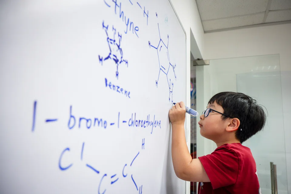 Earlier in 2025, Theodore Kwan became the youngest person in Singapore to score an A for a chemistry paper in the IGCSE, an O-level equivalent exam.
