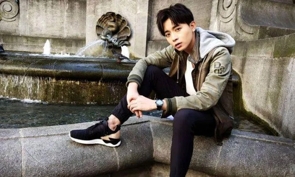 Aloysius Pang's death: Independent committee of inquiry convened to investigate case