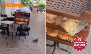 Mos Burger apologises after birds seen pecking on buns left outside Millenia Walk outlet