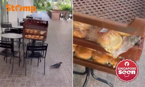 Mos Burger apologises after birds seen pecking on buns left outside Millenia Walk outlet