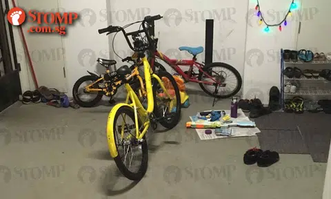 Seriously, how low can you get? Group removes lock of ofo bike and gives it new paint job