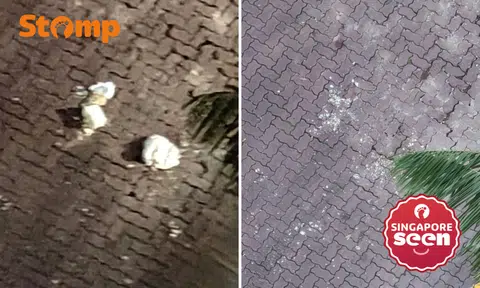 NEA serves notice to Buangkok resident over high-rise littering, investigating Stomper's feedback
