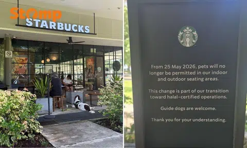 pets still allowed at starbucks outlet after sign sparks backlash