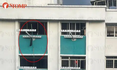 Bamboo pole hanging dangerously from 13th floor of Woodlands block safely removed: Town council